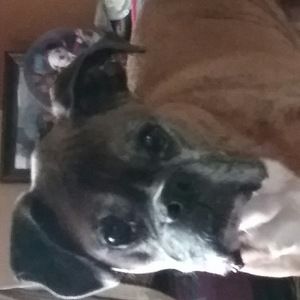 Meet your Posher, Evangeline